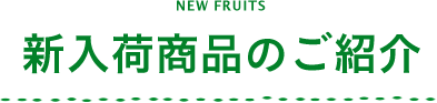 新入荷商品のご紹介